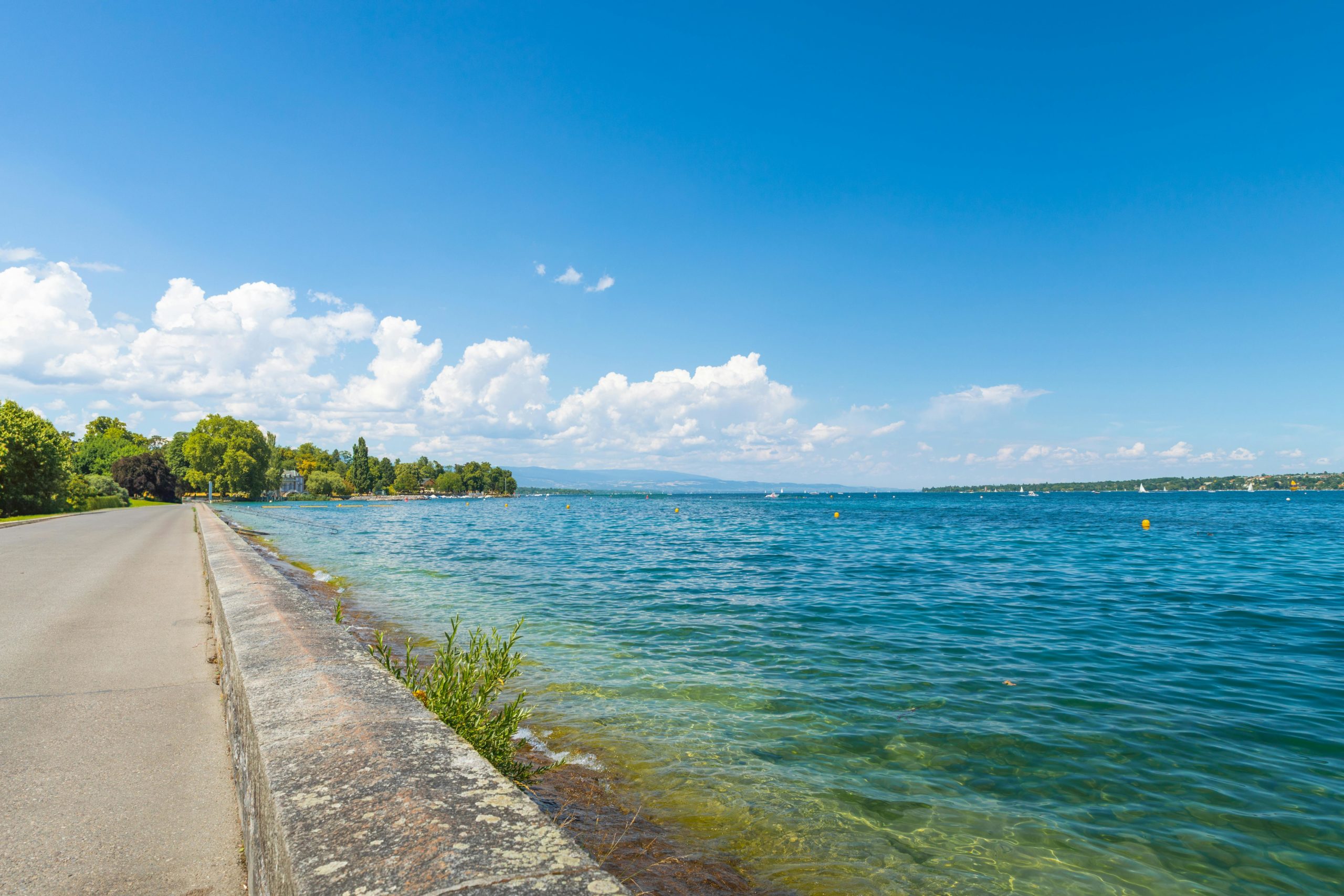 断水中に水を出してしまったら？影響と正しい対処法を徹底解説