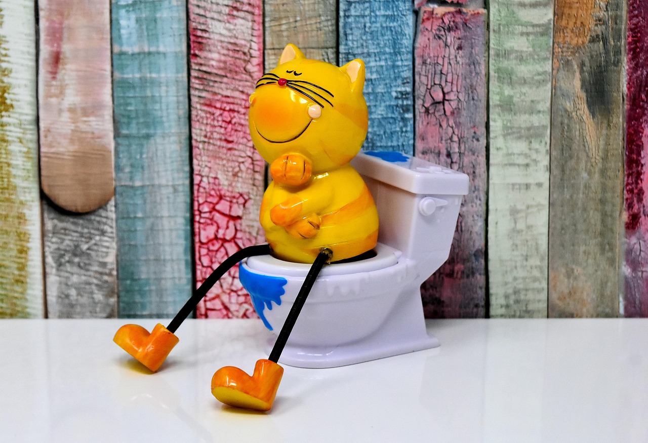 どうしても黒いトイレを取り入れたいなら